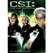 CSI Las Vegas Season 12 ไขคดีปริศนาเวกัส ปี 12 [พากย์ไทย]