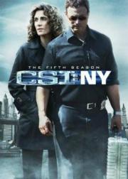 CSI: New York Season 5 ซีเอสไอ: นิวยอร์ก ปี 5 [พากย์ไทย]