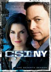 CSI: New York Season 7 ซีเอสไอ: นิวยอร์ก ปี 7 [พากย์ไทย]